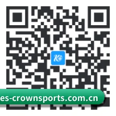 系统版 iOS 二维码